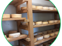 Notre_production_fermiere_pres_de_Font-Romeu-Odeillo-Via-3.png