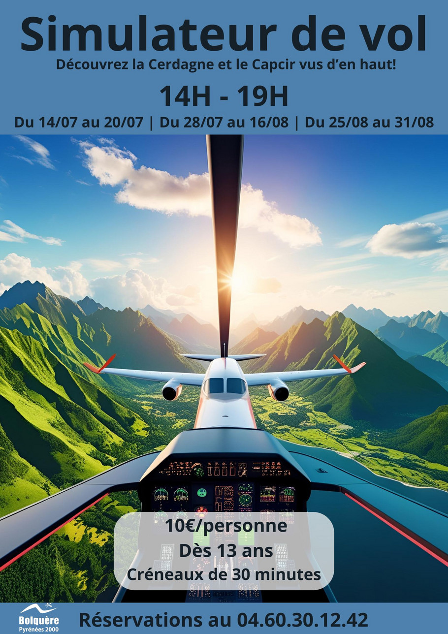 Simulateur de vol - 1