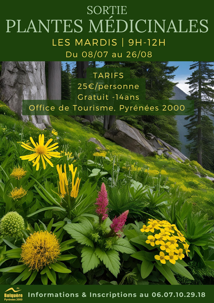 Sortie Plantes Médicinales - 1
